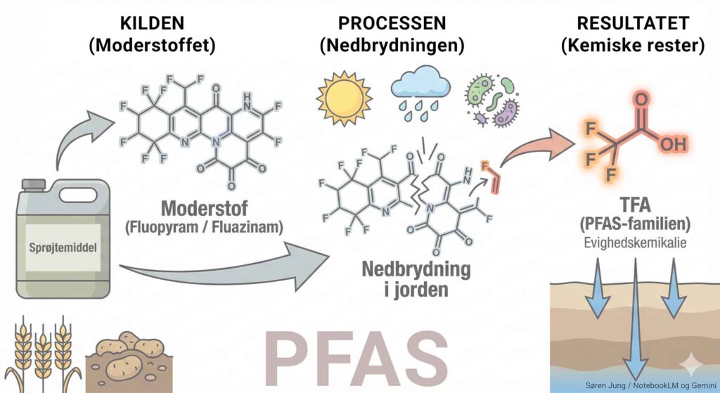 Skitse om nedbrydning af sprøjtemidler til PFAS rester